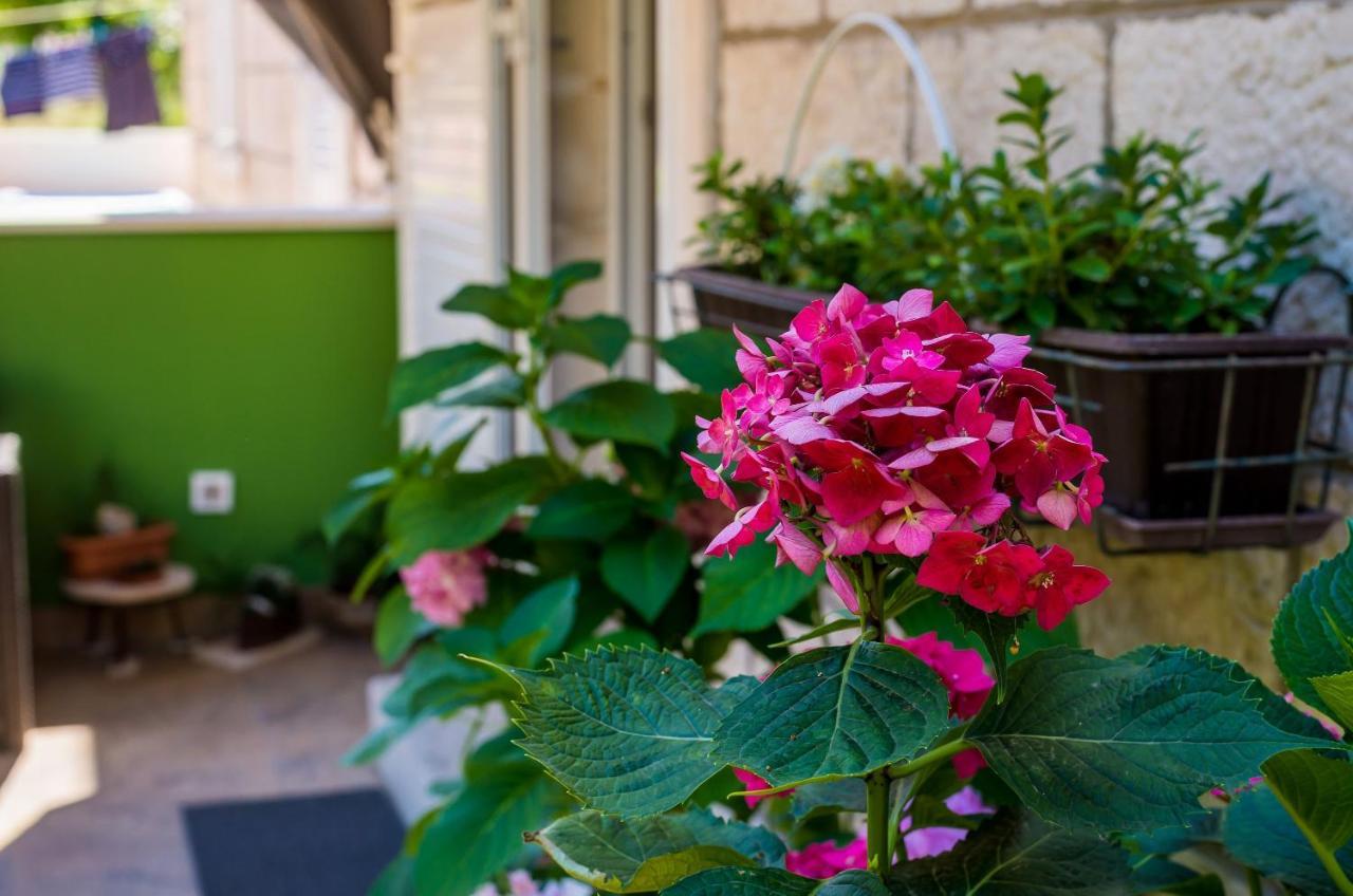 דוברובניק Apartments & Room Frane חדר תמונה