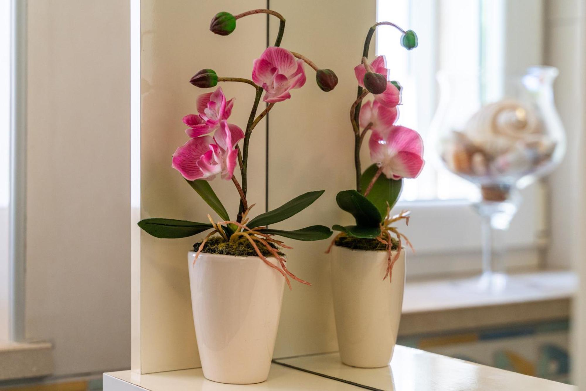 דוברובניק Apartments & Room Frane חדר תמונה