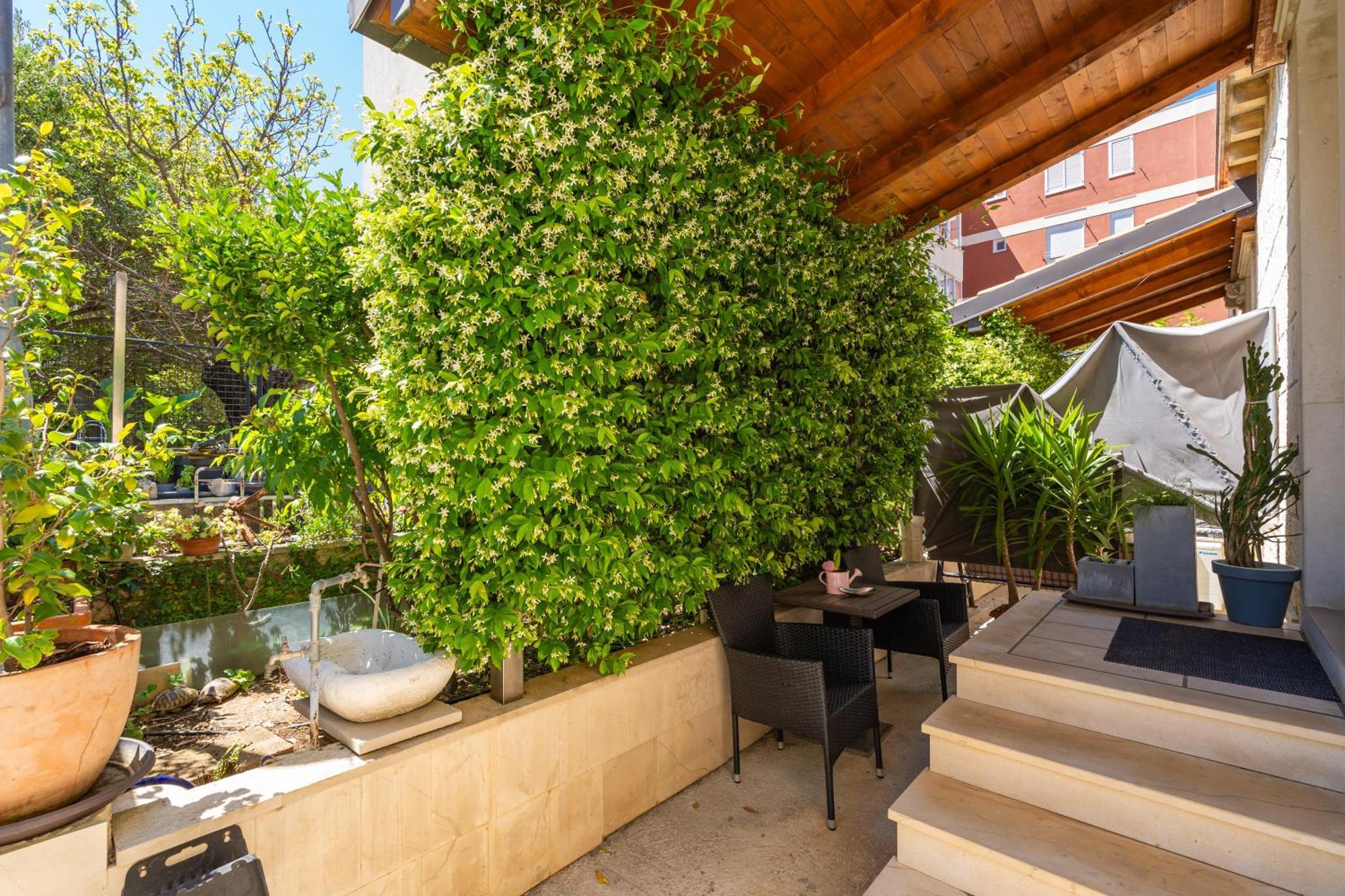 דוברובניק Apartments & Room Frane חדר תמונה